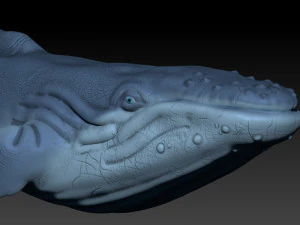 whale 3D Print Model