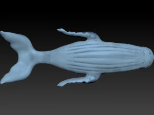 whale 3D Print Model