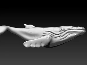whale 3D Print Model