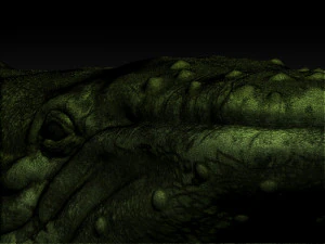 whale 3D Print Model