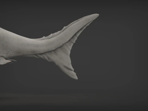 Dunkleosteus 3D Print Model