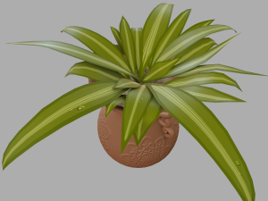 potted inoor plant 3D मॉडल