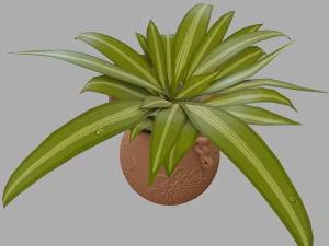 potted inoor plant 3D Model