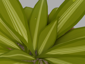 potted inoor plant 3D मॉडल