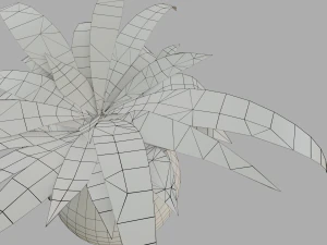 potted inoor plant 3D Model