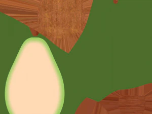 Avocado Fruit 3D Model