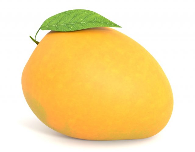 Mango PBR Model 3D 模型 .c4d .max .obj .3ds .fbx .stl .blend 