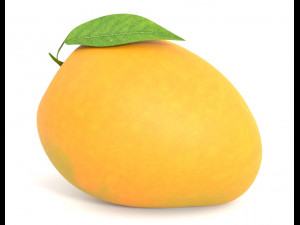 Mango PBR Model 3D Model
