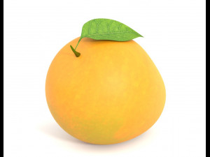Mango PBR Model 3D 模型