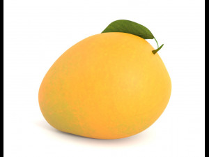 Mango PBR Model 3D 模型