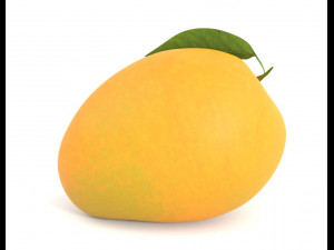 Mango PBR Model 3D 模型