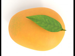 Mango PBR Model 3D 模型