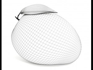 Mango PBR Model 3D 模型