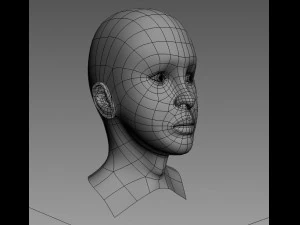 Head of woman 3D Model