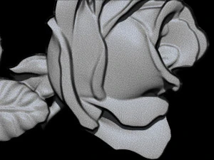 roses 3D Model