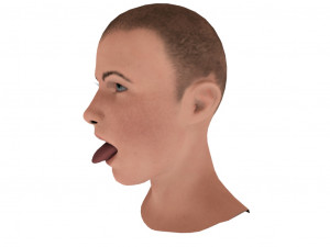 open mouth 3D Model