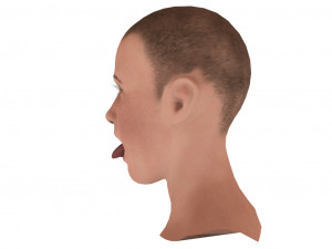 open mouth 3D Model