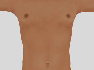 male character 3D Model