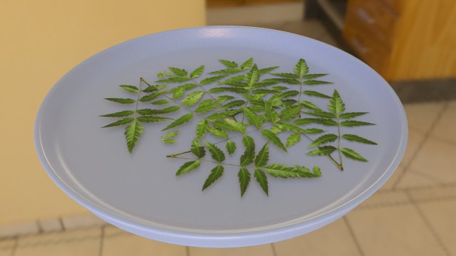 neem tree leaves 3D मॉडल .c4d .max .obj .3ds .fbx .stl .blend 