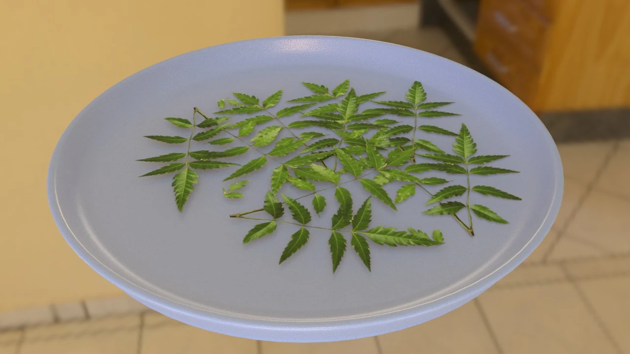 neem tree leaves 3D Model .c4d .max .obj .3ds .fbx .stl .blend 