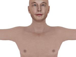 elon musk Model 3D