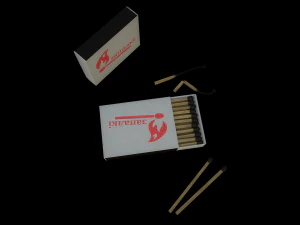 matches 3D Model