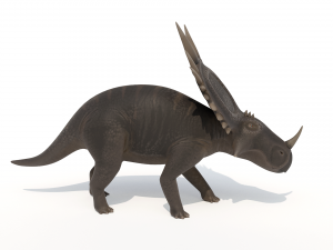 Styracosaurus 3D मॉडल