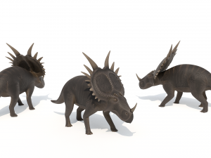 Styracosaurus 3D मॉडल