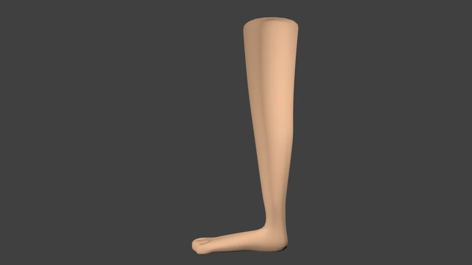 cartoon leg 3D Model .c4d .max .obj .3ds .fbx .stl .blend 