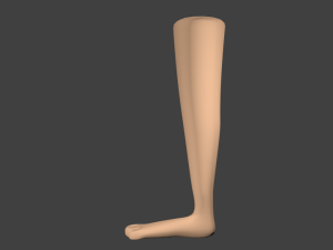cartoon leg Modelo 3D