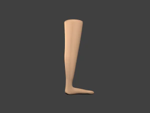 cartoon leg 3D Model