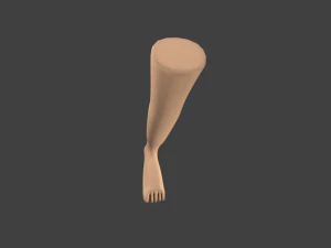 cartoon leg 3D Model