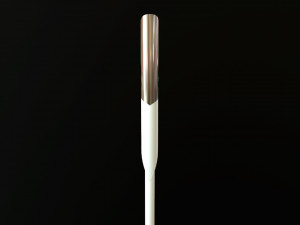 minsk 2019 torch 3D Model