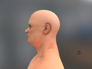 fat man Modello 3D