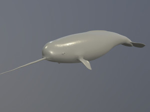 narval Model 3D