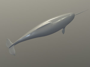 narval Model 3D