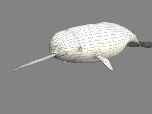 narval Model 3D