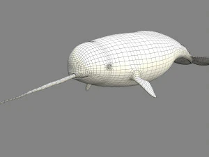 narval Modelo 3D