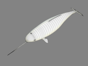 narval Model 3D