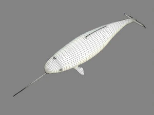 narval Modelo 3D