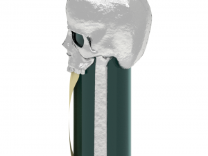 glass bottle with silver skull 3D Модель
