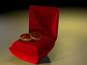 wedding rings in a box 3D Model