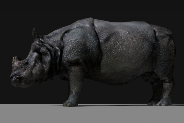 photorealistic rhinoceros indien low-poly 3D Модель .c4d .max .obj .3ds .fbx .stl .blend 