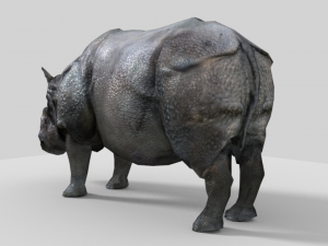 photorealistic rhinoceros indien low-poly 3D Модель