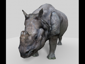 photorealistic rhinoceros indien low-poly 3D Модель