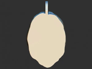 colar de le&atilde;o Modelo 3D