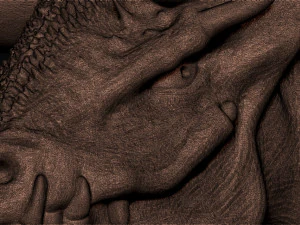 ejderha kafası 3D Model