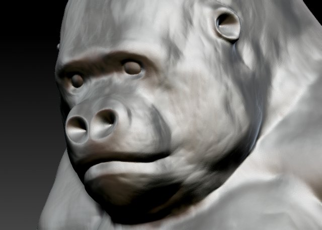 gorilla 3D 模型 .c4d .max .obj .3ds .fbx .stl .blend 