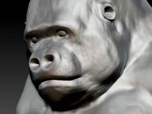 gorilla 3D 모델