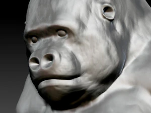 goril 3D Model